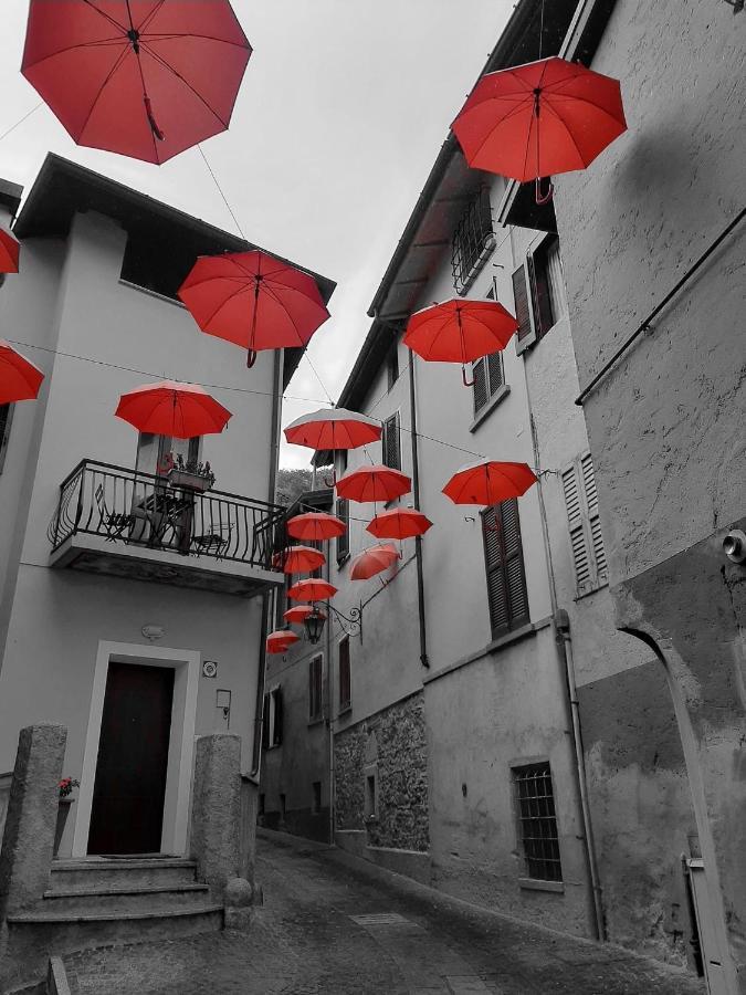 Casa Carma *